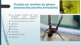  As picadas causam dor local
imediata com diaforese
localizada, piloereção e eritema.
 Os sintomas sistêmicos incluem:
 Náuseas;
 Vômitos;
 Tonturas;
 Salivação;
 Alterações visuais;
 Priapismo;
Picadas por aranhas do gênero
photoneutria (Aranha Armadeira)
 