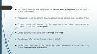  São característicos por possuírem os palpos mais compridos em relação a
outros aracnídeos;
 Palpos mais sensíveis ao tato devido a presença de cerdas muito longas e finas;
 Podem possuir maior numero de olhos que outros aracnídeos, alguns espécies
chegando a possuir até seis pares;
 Corpo constituído de duas partes: tronco e “cauda”
 Cefalotórax não apresenta uma cabeça distinta
 Região do abdômen (opistossoma) bastante segmento e divido em duas
partes: mesossoma e metassoma
 