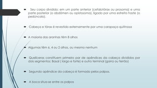  Seu corpo dividido: em um parte anterior (cefalotórax ou prosoma) e uma
parte posterior (o abdômen ou opistosoma), ligado por uma estreita haste (o
pedúncolo).
 Cabeça e tórax é revestido externamente por uma carapaça quitinosa
 A maioria das aranhas têm 8 olhos
 Algumas têm 6, 4 ou 2 olhos, ou mesmo nenhum
 Quelíceras constituem primeiro par de apêndices da cabeça divididos por
dois segmentos: Basal ( largo e forte) e outro terminal (garra ou ferrão)
 Segundo apêndice da cabeça é formado pelos palpos.
 A boca situa-se entre os palpos
 