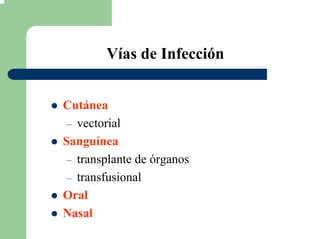Vías de Infección
Cutánea
– vectorial
Sanguínea
– transplante de órganos
– transfusional
Oral
Nasal
 