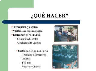 ¿¿QUQUÉÉ HACER??
Prevención y control.
Vigilancia epidemiológica
Educación para la salud
- Comunidad escolar
-Asociación de vecinos
Participación comunitaria
- Trípticos informativos
- Afiches
- Folletos
- Videos y Charlas
 