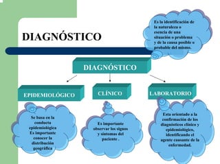 DIAGNÓSTICO
DIAGNÓSTICO
Es la identificación de
la naturaleza o
esencia de una
situación o problema
y de la causa posible o
probable del mismo.
Es la identificación de
la naturaleza o
esencia de una
situación o problema
y de la causa posible o
probable del mismo.
LABORATORIOCLÍNICOEPIDEMIOLÓGICO
Esta orientado a la
confirmación de los
diagnósticos clínico y
epidemiológico,
identificando el
agente causante de la
enfermedad.
Esta orientado a la
confirmación de los
diagnósticos clínico y
epidemiológico,
identificando el
agente causante de la
enfermedad.
Es importante
observar los signos
y síntomas del
paciente .
Es importante
observar los signos
y síntomas del
paciente .
Se basa en la
conducta
epidemiológica
Es importante
conocer la
distribución
geográfica
Se basa en la
conducta
epidemiológica
Es importante
conocer la
distribución
geográfica
 