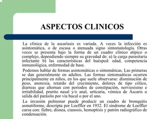 ASPECTOS CLINICOS
La clínica de la ascaríasis es variada. A veces la infección es
asintomática, o de escasa o atenuada signo sintomatología. Otras
veces se presenta bajo la forma de un cuadro clínico atípico o
complejo, dependiendo siempre su gravedad de: a) la carga parasitaria
infectante b) las características del huésped: edad, competencia
inmunológica, enfermedad de base.
Podemos hablar de formas asintomáticas o sintomáticas. Las primeras
se dan generalmente en adultos. Las formas sintomaáticas ocurren
principalmente en niños, en los que suele observarse: disminución de
peso, anorexia, retardo del crecimiento, dolores de tipo cólico,
diarreas que alternan con períodos de constipación, nerviosismo e
irritabilidad, prurito nasal y/o anal, urticaria, vómica de Áscaris o
salida del parásito por vía bucal o por el ano.
La invasión pulmonar puede producir un cuadro de bronquitis
asmatiforme, descripta por Loeffler en 1932. El síndrome de Loeffler
cursa con: fiebre, disnea, cianosis, hemoptisis y patrón radiográfico de
condensación.
 