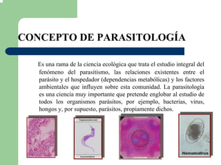 CONCEPTO DE PARASITOLOGÍA
Es una rama de la ciencia ecológica que trata el estudio integral del
fenómeno del parasitismo, las relaciones existentes entre el
parásito y el hospedador (dependencias metabólicas) y los factores
ambientales que influyen sobre esta comunidad. La parasitología
es una ciencia muy importante que pretende englobar al estudio de
todos los organismos parásitos, por ejemplo, bacterias, virus,
hongos y, por supuesto, parásitos, propiamente dichos.
 