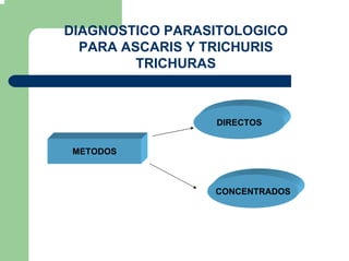 DIAGNOSTICO PARASITOLOGICO
PARA ASCARIS Y TRICHURIS
TRICHURAS
DIRECTOS
METODOS
CONCENTRADOS
 
