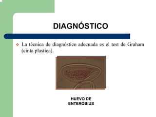 DIAGNÓSTICO
La técnica de diagnóstico adecuada es el test de Graham
(cinta plastica).
HUEVO DE
ENTEROBIUS
 