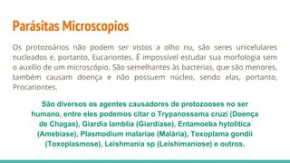 Parásitas Microscopios
Os protozoários não podem ser vistos a olho nu, são seres unicelulares
nucleados e, portanto, Eucariontes. É impossível estudar sua morfologia sem
o auxílio de um microscópio. São semelhantes às bactérias, que são menores,
também causam doença e não possuem núcleo, sendo elas, portanto,
Procariontes.
São diversos os agentes causadores de protozooses no ser
humano, entre eles podemos citar o Trypanossoma cruzi (Doença
de Chagas), Giardia lamblia (Giardíase), Entamoeba hytolitica
(Amebíase), Plasmodium malariae (Malária), Toxoplama gondii
(Toxoplasmose), Leishmania sp (Leishimaniose) e outros.
 