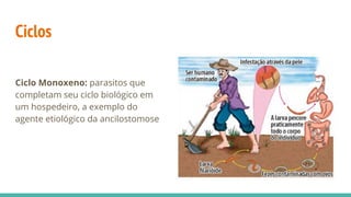 Ciclos
Ciclo Monoxeno: parasitos que
completam seu ciclo biológico em
um hospedeiro, a exemplo do
agente etiológico da ancilostomose
 