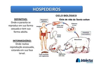 HOSPEDEIROS
DEFINITIVO:
Onde o parasita se
reproduz em sua forma
sexuada e tem sua
forma adulta.
INTERMEDIÁRIO:
Onde realiza
reprodução assexuada,
estando em sua fase
larval.
 