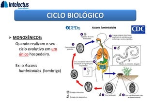 CICLO BIOLÓGICO
 MONOXÊNICOS:
Quando realizam o seu
ciclo evolutivo em um
único hospedeiro.
Ex: o Ascaris
lumbricoides (lombriga)
 
