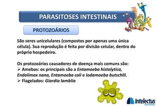 PROTOZOÁRIOS
São seres unicelulares (compostos por apenas uma única
célula). Sua reprodução é feita por divisão celular, dentro do
próprio hospedeiro.
Os protozoários causadores de doença mais comuns são:
 Amebas: os principais são a Entamoeba histolytica,
Endolimax nana, Entamoeba coli e Iodamoeba butschlli.
 Flagelados: Giardia lamblia
PARASITOSES INTESTINAIS
 