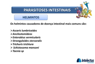 HELMINTOS
PARASITOSES INTESTINAIS
Os helmintos causadores de doença intestinal mais comuns são:
Ascaris lumbricoides
Ancilostomídeos
Enterobius vermicularis
Strongyloides stercoralis
Trichuris trichiura
 Schistosoma mansoni
Taenia sp
 