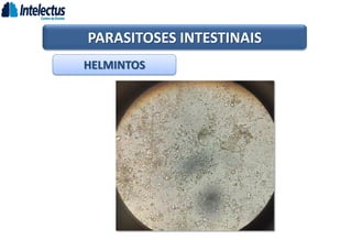 HELMINTOS
PARASITOSES INTESTINAIS
 