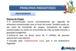 Doença de Chagas
 A contaminação ocorre principalmente por ingestão de
alimentos contaminados com as fezes do inseto. Também pode ser
por meio de transfusão de sangue, transplante de órgãos
contaminados ou ainda ser transmitida da mãe ao bebê durante a
gestação (congênita).
 Estima-se que no Brasil cerca de 3 milhões de pessoas
apresentem essa doença.
 Causada pelo Trypanossoma cruzi, que é um protozoário
flagelado.
PROTOZOÁRIOS
PRINCIPAIS PARASITOSES
 