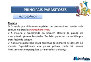 Malária
 Causada por diferentes espécies de protozoários, sendo mais
comum no Brasil o Plasmodium vivax.
 A malária é transmitida ao homem através da picada do
mosquito do gênero Anopheles. Também pode ser transmitida por
transfusão de sangue.
 A malária ainda hoje mata centenas de milhares de pessoas no
mundo. Especialmente em países pobres, onde há menos
investimentos em pesquisas para erradicar a doença.
PROTOZOÁRIOS
PRINCIPAIS PARASITOSES
 