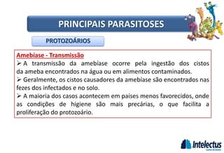 Amebíase - Transmissão
 A transmissão da amebíase ocorre pela ingestão dos cistos
da ameba encontrados na água ou em alimentos contaminados.
 Geralmente, os cistos causadores da amebíase são encontrados nas
fezes dos infectados e no solo.
 A maioria dos casos acontecem em países menos favorecidos, onde
as condições de higiene são mais precárias, o que facilita a
proliferação do protozoário.
PROTOZOÁRIOS
PRINCIPAIS PARASITOSES
 