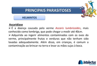 Ascaridíase
 É a doença causada pelo verme Ascaris lumbricoides, mais
conhecido como lombriga, que pode chegar a medir até 40cm.
 Adquirida ao ingerir alimentos contaminados com os ovos do
verme, principalmente frutas e verduras que não tenham sido
lavadas adequadamente. Além disso, em crianças, é comum a
contaminação ao brincar na terra e levar as mãos sujas à boca.
HELMINTOS
PRINCIPAIS PARASITOSES
 