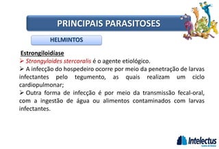 Estrongiloidíase
 Strongyloides stercoralis é o agente etiológico.
 A infecção do hospedeiro ocorre por meio da penetração de larvas
infectantes pelo tegumento, as quais realizam um ciclo
cardiopulmonar;
 Outra forma de infecção é por meio da transmissão fecal-oral,
com a ingestão de água ou alimentos contaminados com larvas
infectantes.
HELMINTOS
PRINCIPAIS PARASITOSES
 
