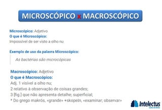 MICROSCÓPICO x MACROSCÓPICO
 
