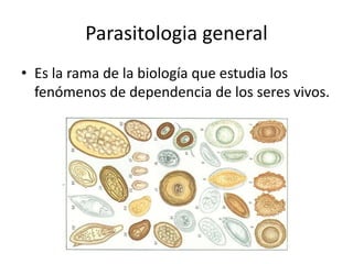 parasitologia.pptx