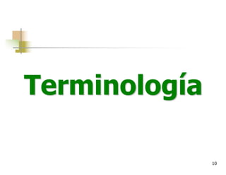 10
Terminología
 