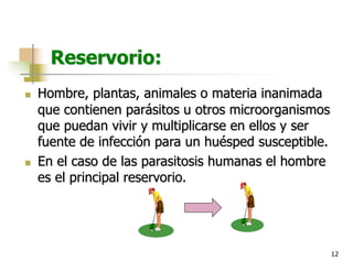 12
Reservorio:
n Hombre, plantas, animales o materia inanimada
que contienen parásitos u otros microorganismos
que puedan vivir y multiplicarse en ellos y ser
fuente de infección para un huésped susceptible.
n En el caso de las parasitosis humanas el hombre
es el principal reservorio.
 