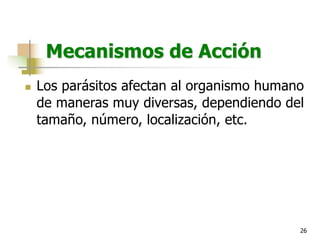 26
Mecanismos de Acción
n Los parásitos afectan al organismo humano
de maneras muy diversas, dependiendo del
tamaño, número, localización, etc.
 
