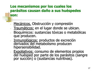 27
Los mecanismos por los cuales los
parásitos causan daño a sus huéspedes
son:
- Mecánicos. Obstrucción y compresión
- Traumáticos: en el lugar donde se ubican.
- Bioquímicos: sustancias tóxicas o metabólicas
que producen.
- Inmunológicos: productos de excreción
derivados del metabolismo producen
hipersensibilidad.
- Expoliativos: consumo de elementos propios
del huésped por parte de los parásitos (sangre
por succión) o (sustancias nutritivas).
 