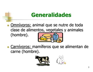 3
Generalidades
n Omnívoros: animal que se nutre de toda
clase de alimentos, vegetales y animales
(hombre).
n Carnívoros: mamíferos que se alimentan de
carne (hombre).
 