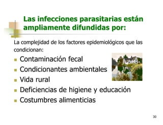 30
Las infecciones parasitarias están
ampliamente difundidas por:
La complejidad de los factores epidemiológicos que las
condicionan:
n Contaminación fecal
n Condicionantes ambientales
n Vida rural
n Deficiencias de higiene y educación
n Costumbres alimenticias
 