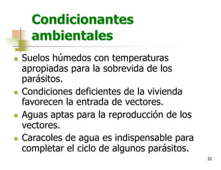 32
Condicionantes
ambientales
n Suelos húmedos con temperaturas
apropiadas para la sobrevida de los
parásitos.
n Condiciones deficientes de la vivienda
favorecen la entrada de vectores.
n Aguas aptas para la reproducción de los
vectores.
n Caracoles de agua es indispensable para
completar el ciclo de algunos parásitos.
 
