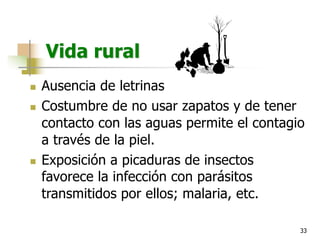 33
Vida rural
n Ausencia de letrinas
n Costumbre de no usar zapatos y de tener
contacto con las aguas permite el contagio
a través de la piel.
n Exposición a picaduras de insectos
favorece la infección con parásitos
transmitidos por ellos; malaria, etc.
 