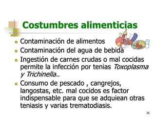 35
Costumbres alimenticias
n Contaminación de alimentos
n Contaminación del agua de bebida
n Ingestión de carnes crudas o mal cocidas
permite la infección por tenias Toxoplasma
y Trichinella..
n Consumo de pescado , cangrejos,
langostas, etc. mal cocidos es factor
indispensable para que se adquiean otras
teniasis y varias trematodiasis.
 