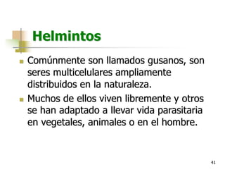 41
Helmintos
n Comúnmente son llamados gusanos, son
seres multicelulares ampliamente
distribuidos en la naturaleza.
n Muchos de ellos viven libremente y otros
se han adaptado a llevar vida parasitaria
en vegetales, animales o en el hombre.
 