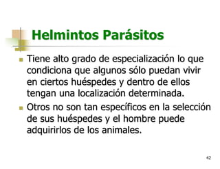 42
Helmintos Parásitos
n Tiene alto grado de especialización lo que
condiciona que algunos sólo puedan vivir
en ciertos huéspedes y dentro de ellos
tengan una localización determinada.
n Otros no son tan específicos en la selección
de sus huéspedes y el hombre puede
adquirirlos de los animales.
 