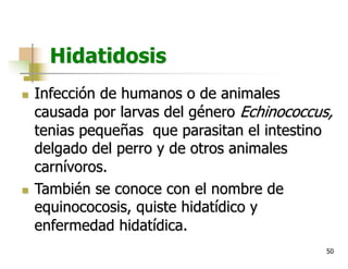 50
Hidatidosis
n Infección de humanos o de animales
causada por larvas del género Echinococcus,
tenias pequeñas que parasitan el intestino
delgado del perro y de otros animales
carnívoros.
n También se conoce con el nombre de
equinococosis, quiste hidatídico y
enfermedad hidatídica.
 