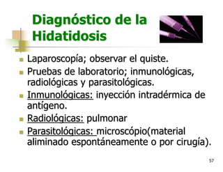 57
Diagnóstico de la
Hidatidosis
n Laparoscopía; observar el quiste.
n Pruebas de laboratorio; inmunológicas,
radiológicas y parasitológicas.
n Inmunológicas: inyección intradérmica de
antígeno.
n Radiológicas: pulmonar
n Parasitológicas: microscópio(material
aliminado espontáneamente o por cirugía).
 