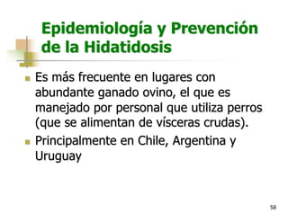 58
Epidemiología y Prevención
de la Hidatidosis
n Es más frecuente en lugares con
abundante ganado ovino, el que es
manejado por personal que utiliza perros
(que se alimentan de vísceras crudas).
n Principalmente en Chile, Argentina y
Uruguay
 