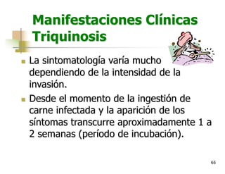 65
Manifestaciones Clínicas
Triquinosis
n La sintomatología varía mucho
dependiendo de la intensidad de la
invasión.
n Desde el momento de la ingestión de
carne infectada y la aparición de los
síntomas transcurre aproximadamente 1 a
2 semanas (período de incubación).
 
