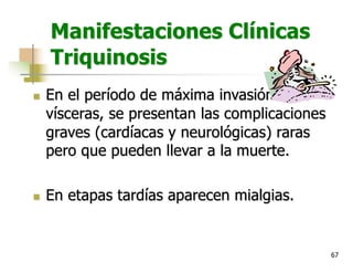 67
Manifestaciones Clínicas
Triquinosis
n En el período de máxima invasión a las
vísceras, se presentan las complicaciones
graves (cardíacas y neurológicas) raras
pero que pueden llevar a la muerte.
n En etapas tardías aparecen mialgias.
 