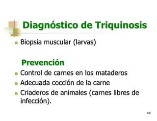 68
Diagnóstico de Triquinosis
n Biopsia muscular (larvas)
Prevención
n Control de carnes en los mataderos
n Adecuada cocción de la carne
n Criaderos de animales (carnes libres de
infección).
 