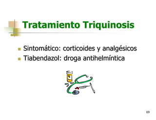 69
Tratamiento Triquinosis
n Sintomático: corticoides y analgésicos
n Tiabendazol: droga antihelmíntica
 