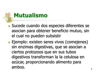9
Mutualismo
n Sucede cuando dos especies diferentes se
asocian para obtener beneficio mutuo, sin
el cual no pueden subsistir
n Ejemplo: existen seres vivos (comejenes)
sin enzimas digestivas, que se asocian a
ciertos protozoos que en sus tubos
digestivos transforman la la celulosa en
azúcar, proporcionando alimento para
ambos.
 