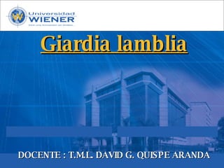 Giardia lamblia




DOCENTE : T.M.L. DAVID G. QUIS PE ARANDA