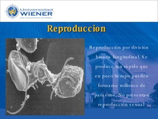 Parasitologia basica