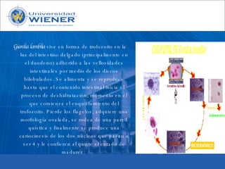 Parasitologia basica