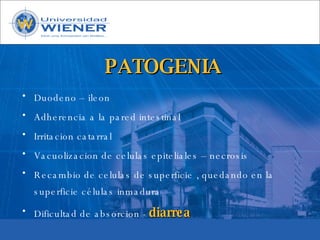 Parasitologia basica