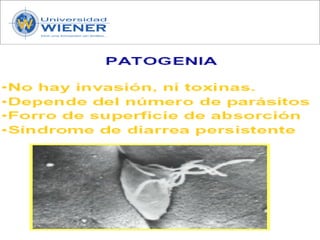 Parasitologia basica