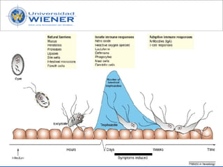 Parasitologia basica