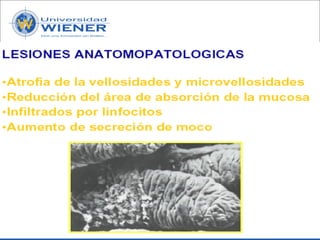 Parasitologia basica